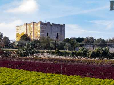 Lasciandoci alle spalle la masseria ci incamminiamo su un viottolo...